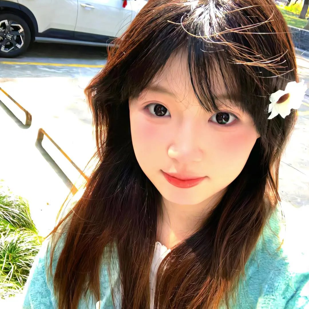 闪亮的青春 封面